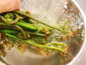 わらび の アク 抜き 重曹