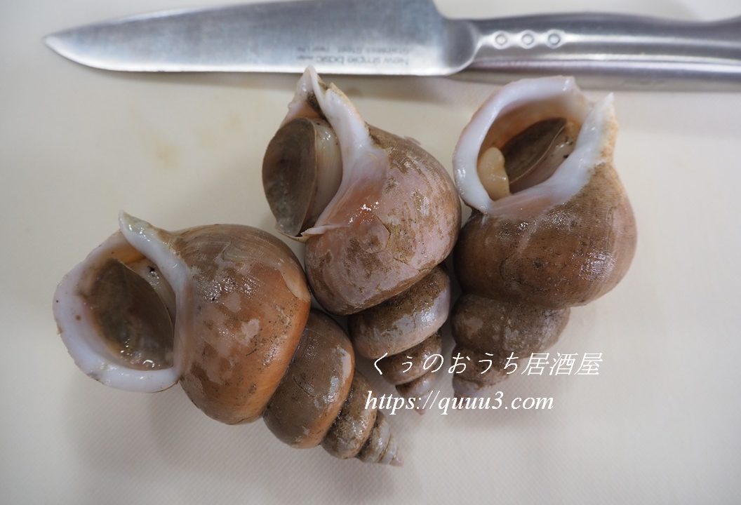 バイ貝の簡単な捌き方 肝の下処理の方法も解説 くぅのおうち居酒屋