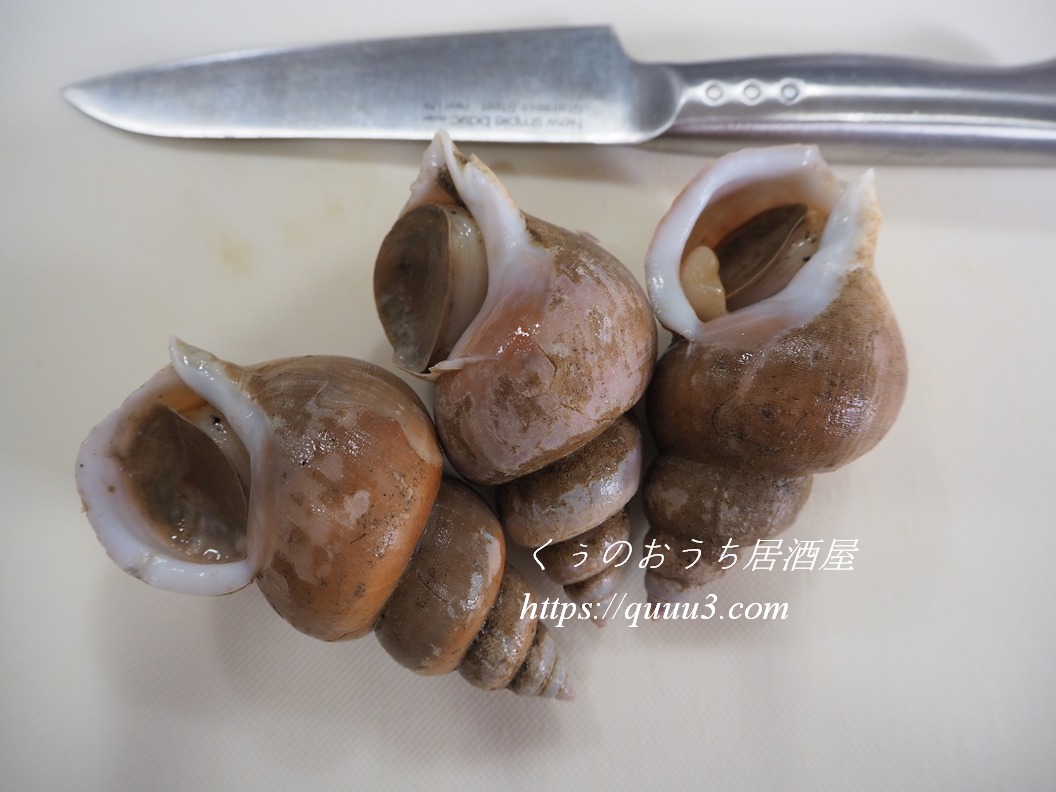 白バイ貝の簡単な捌き方 肝の下処理の方法も解説 くぅのおうち居酒屋