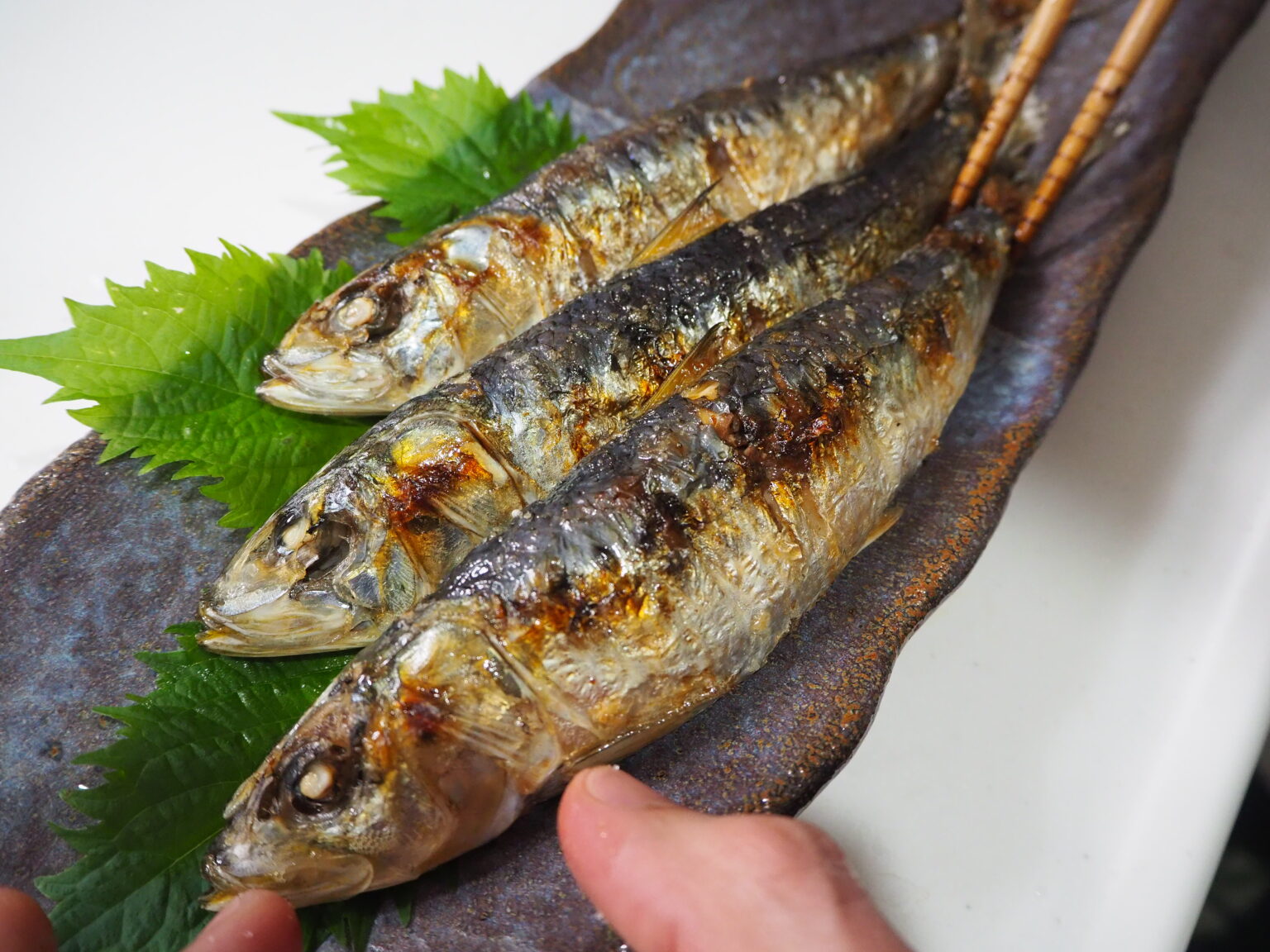 いわし 開き 塩焼き | いわし 塩焼き グリル – NASLEMM