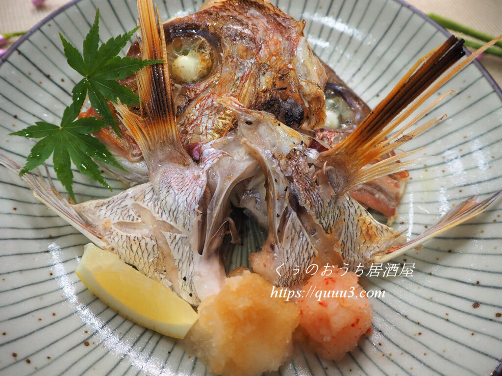 鯛の兜焼きの作り方 下処理で臭みなし くぅのおうち居酒屋